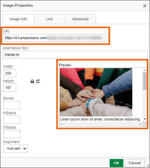 Amplify People Mass Contact Email Images Editor.png